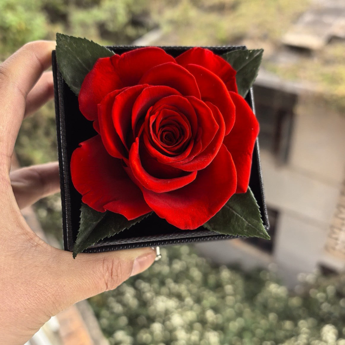 Eternal Flower Rose Jewelry Box