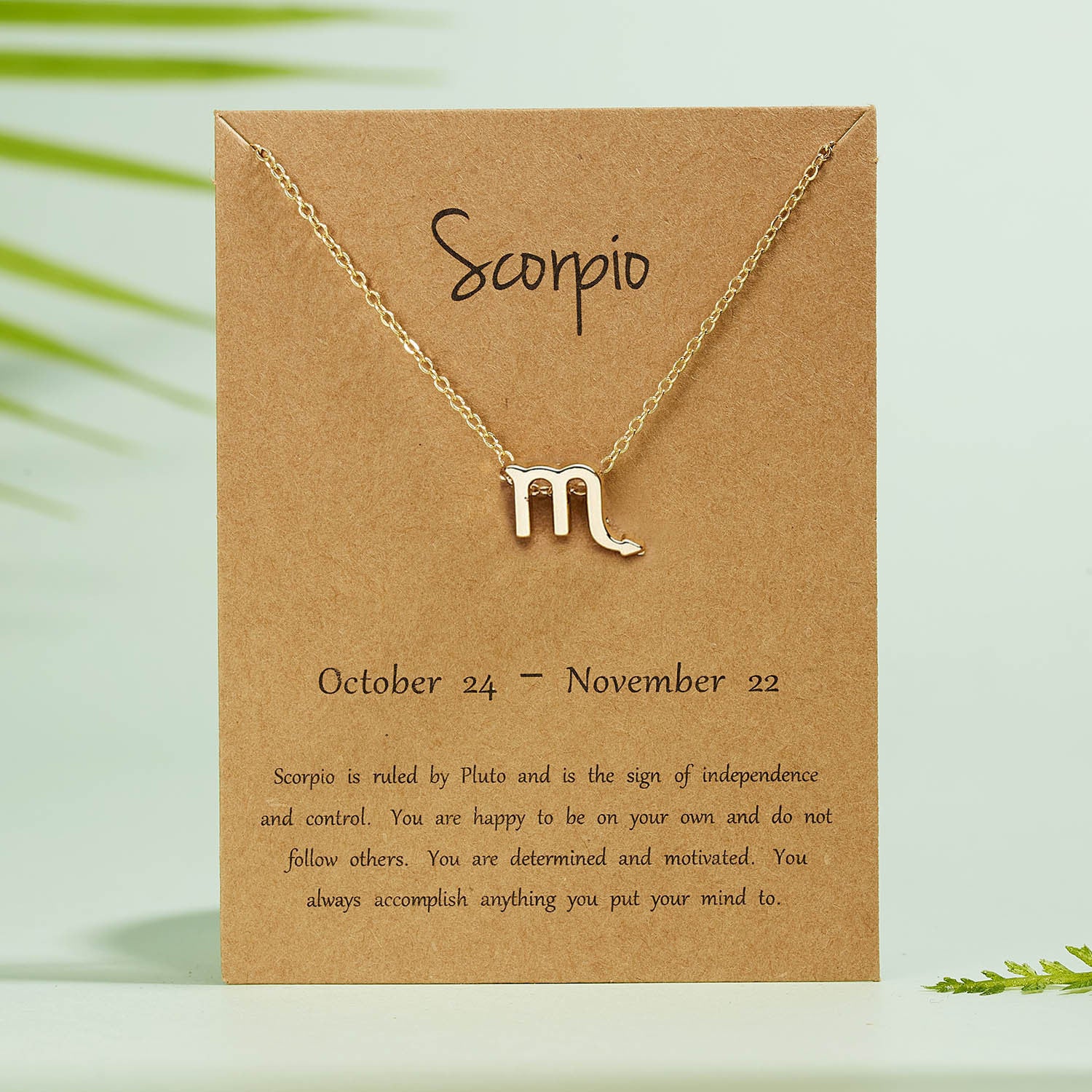 zodiac necklace