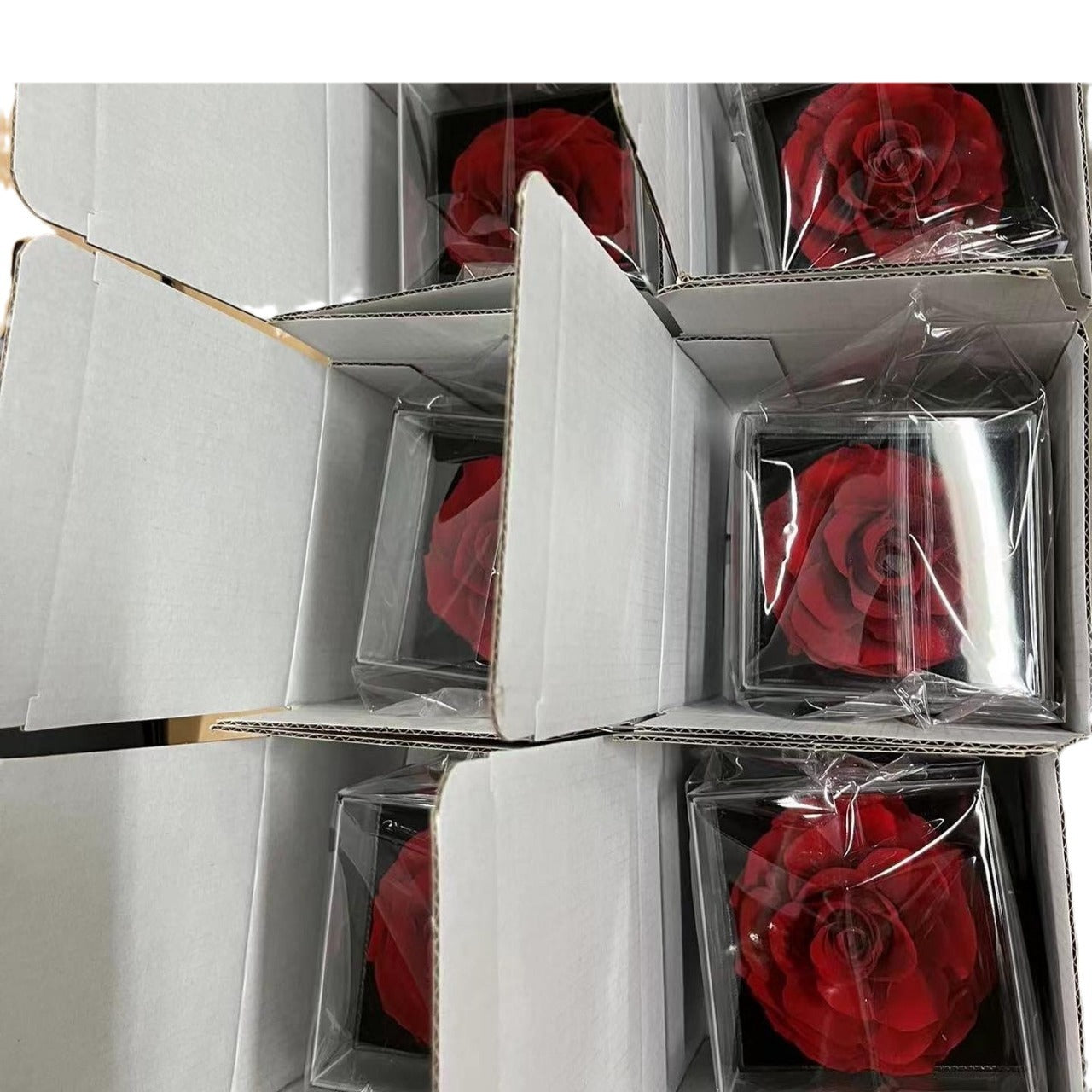 Eternal Flower Rose Jewelry Box