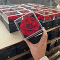 Eternal Flower Rose Jewelry Box